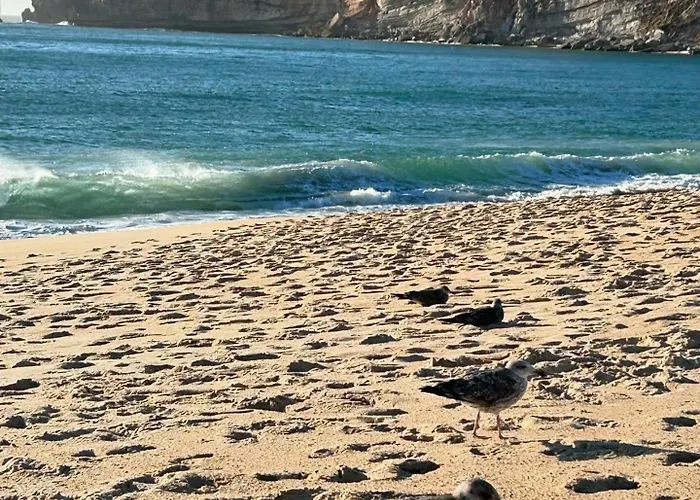 דירה Sol נאזרה