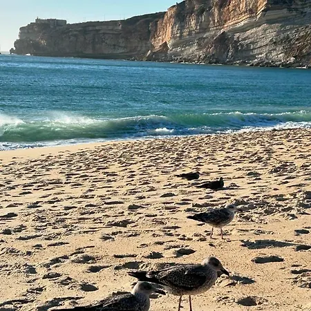 Appartement Sol Nazaré