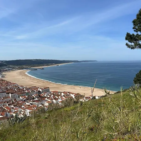 Appartement Sol Nazaré
